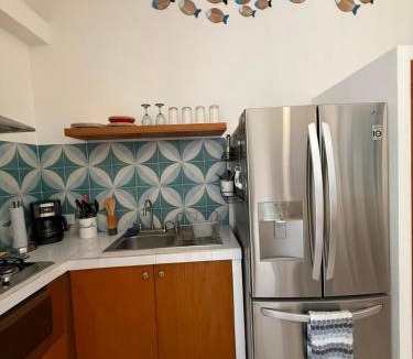 Lazaro Cardenas Apartment | Departamento Tortuga