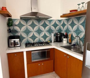 Lazaro Cardenas Apartment | Departamento Tortuga
