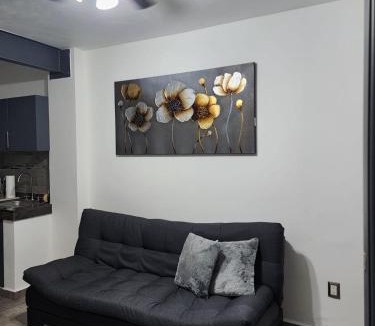 Cuautla Apartment | Dpto 1 Ejecutivo con WiFi, Terraza, Parking y Aire acondicionado