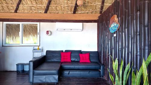 Alamo Other | EcoPalapa Mimí