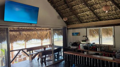 Alamo Other | EcoPalapa Mimí