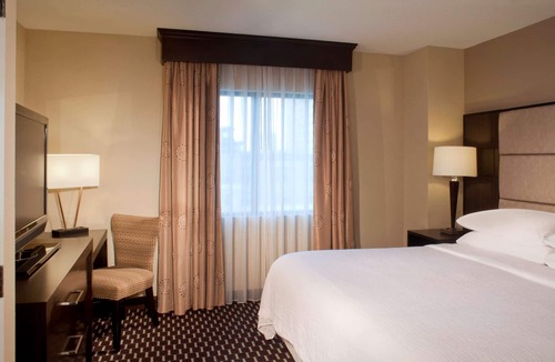 The Galleria Hotel | Embassy Suites by Hilton Houston Near the Galleria