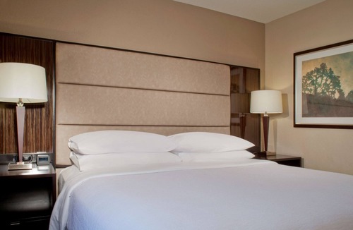 The Galleria Hotel | Embassy Suites by Hilton Houston Near the Galleria