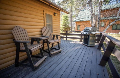 Babbitt Cabin | Enjoy this spacious retreat: The Cougar Cabin