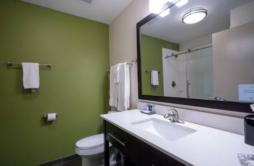 Dallas Hotel | Experience Comfort with Plush Bedding in a Clean, Quiet Location in Dallas