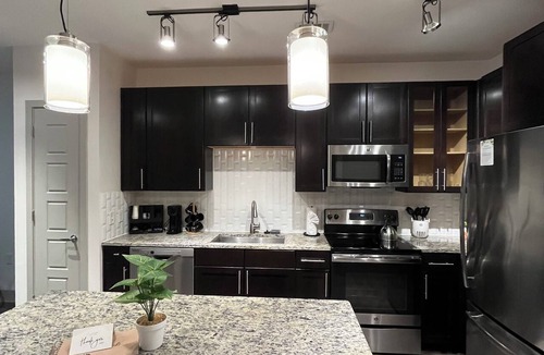 Fort Worth Apartment | Fort Worth Gem/Close to Dickies, Will Rogers and 7th street