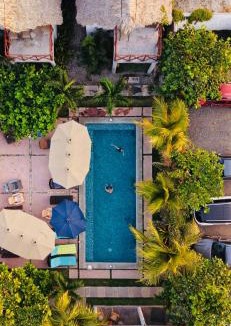 El Paredon Hotel | Gecko Hotel