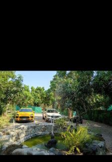 Lomas de Cocoyoc Other | Glamping Tlaconal