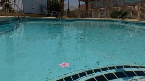 El Paso Hotel | GO2 Inn & Suites by Relianse - El Paso