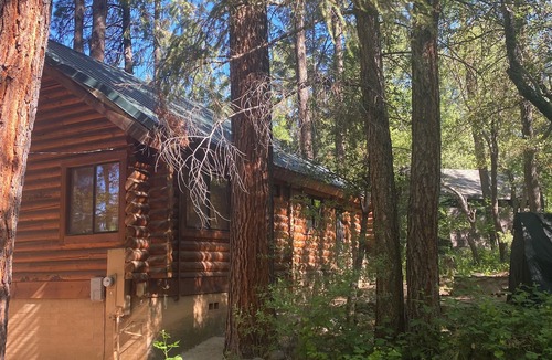 Payson Cabin | Gorgeous Full-Log Cabin in the Pines directly on Tonto Creek