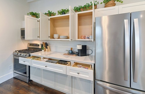 Uptown Apartment | GREENHOUSE 💚 1BD 1BA 🏠 Trolley 🚎 Pets 🐶 NEW 🍀