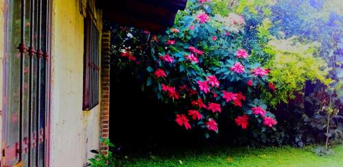 Santo Domingo Bed & Breakfast | Hacienda Santa Rosalia Parador Hipico