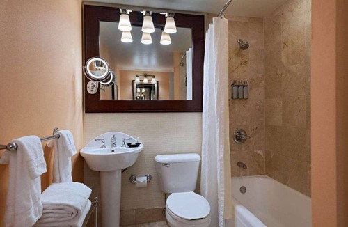 Downtown Austin Hotel | Have a Blast on Sixth Street! Swimming Pool, Pets Allowed, Near Zilker Park!