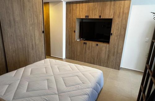 Leon Apartment | Hermoso Loft frente a Plaza Mayor en León Gto