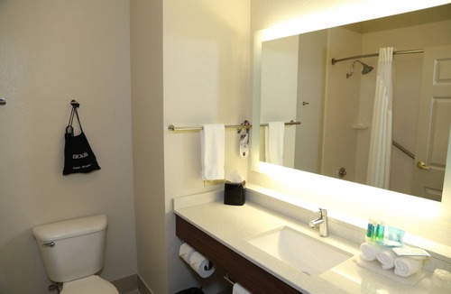 Greenville Hotel | Holiday Inn Express Hotel & Suites Greenville by IHG