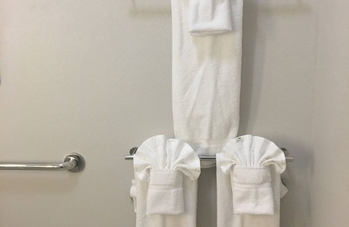 Brenham Hotel | Holiday Inn Express & Suites Brenham South by IHG