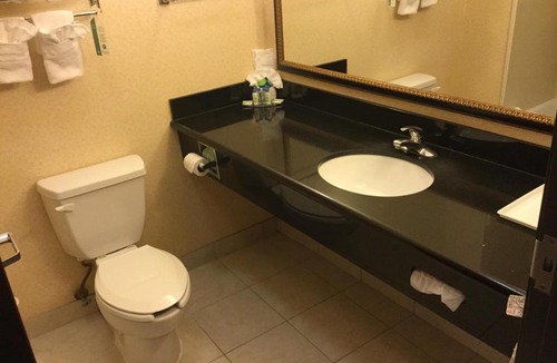 Longview Hotel | Holiday Inn Express & Suites Longview South I-20 by IHG