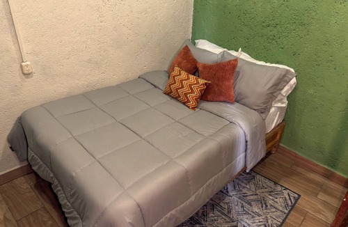 Centro Hotel | Hostal el Alebrije