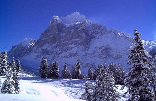 Grindelwald Hotel | Hotel Alte Post