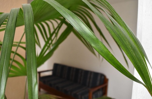 Faros Hotel | Hotel Baluarte