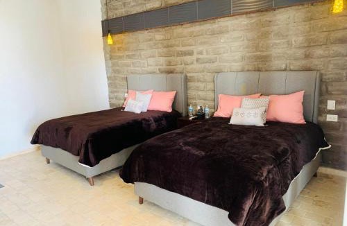 Parras de la Fuente Apartment | Hotel Boutique Embrujo Intuición