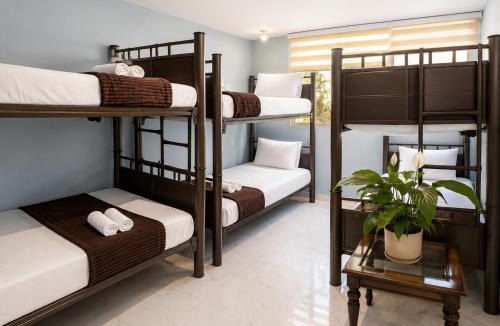 Zona Rosa House | Hotel Boutique Venecia Cdmx