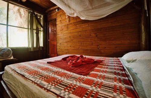 Livingston House | Hotel Casa Perico