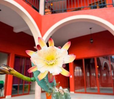 San Diego de la Union Hotel | Hotel Estancia Bugambilias