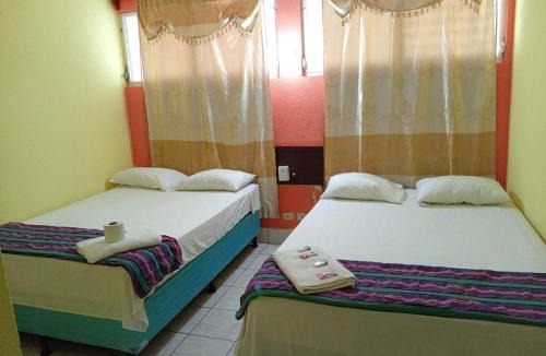 Flores Hotel | Hotel Green Monkey