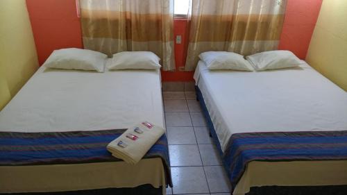 Flores Hotel | Hotel Green Monkey