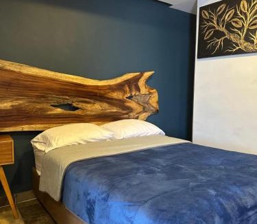 Tequila Hotel | Hotel La Bikina