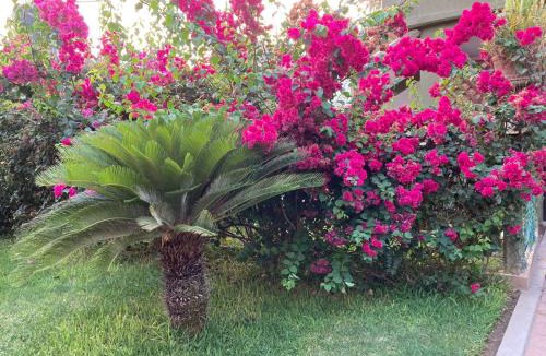 Brisas de Zicatela Hotel | hotel las olas zicatela 2