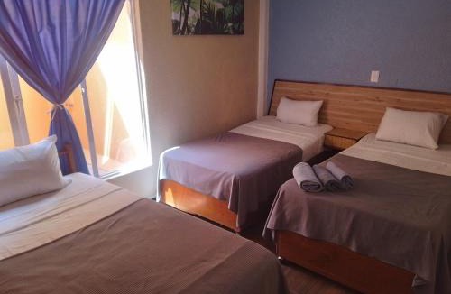 Orizaba Hotel | Hotel Los Diamantes