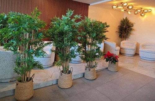 Benito Juarez Hotel | Hotel Olimpica Boutique