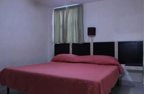 Leon Hotel | Hotel Plaza Aleman