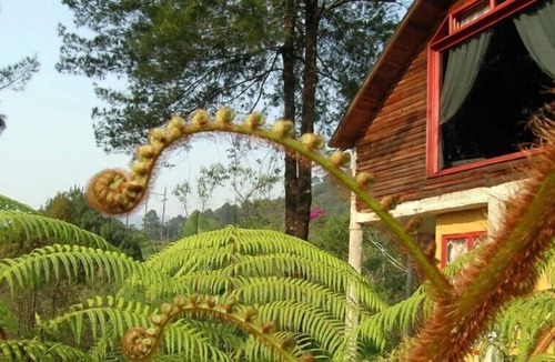 Purulha Hotel | Hotel Ram Tzul