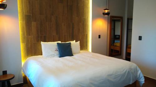 Mineral del Monte Hotel | HOTEL REAL DEL MONTE WOODs