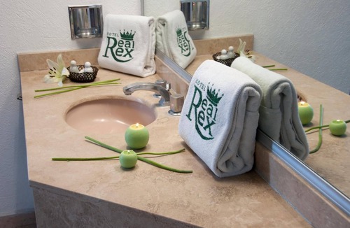 Leon Centro Hotel | Hotel Real Rex