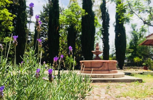 San Miguel de Allende Hotel | Hotel RV Park San Ramón