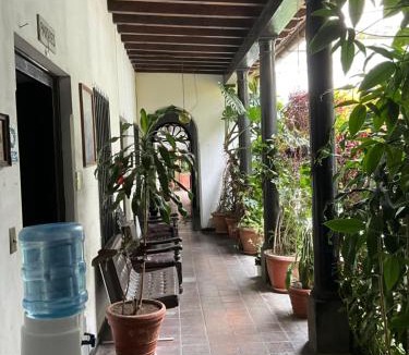 Zona 1 Hotel | Hotel Spring