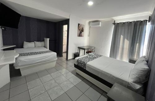 Veracruz Hotel | Hotel & Suites Bausan