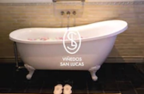 San Miguel de Allende Hotel | Hotel Viñedos San Lucas