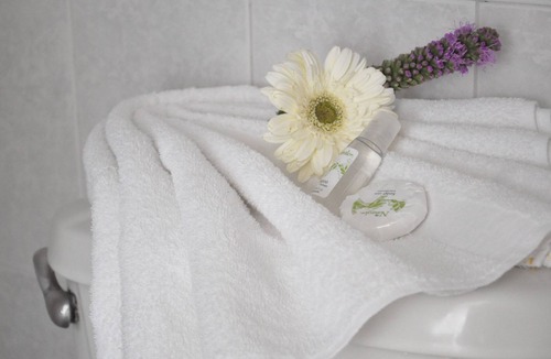 Irapuato Hotel | Hotel Viena