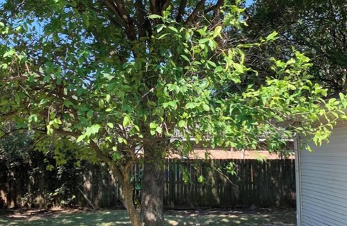 Texas City House | Huge Private 3 Bedroom House Large Master Fenced Yard, Galveston, Kemah, Fishing