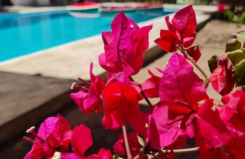Colonia El Progreso Hotel | Keiki Kai Ecocabañas