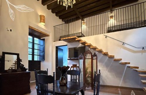 Mascota House | La Casa de Ticho