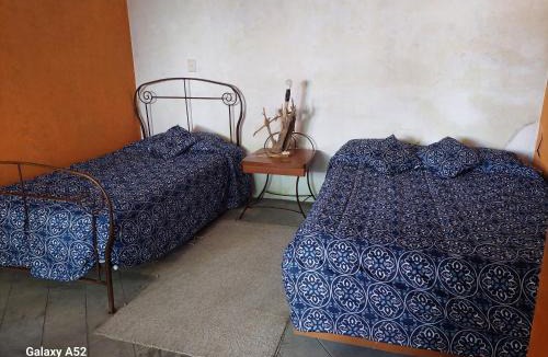 Xochitlan de Vicente Suarez House | La Casa D'Alick