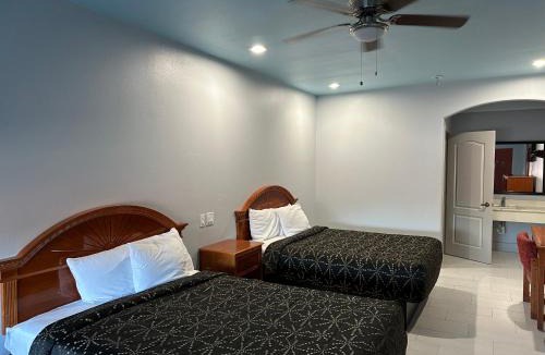 Alamo Hotel | La Copa Inn Alamo
