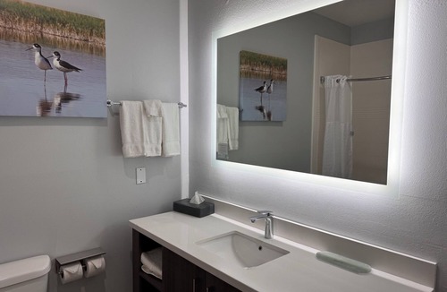 Alamo Hotel | La Quinta Inn & Suites by Wyndham Alamo - McAllen East
