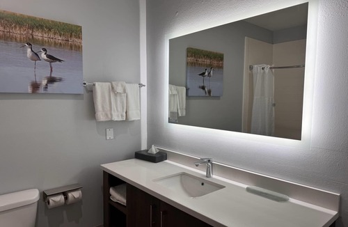 Alamo Hotel | La Quinta Inn & Suites by Wyndham Alamo - McAllen East
